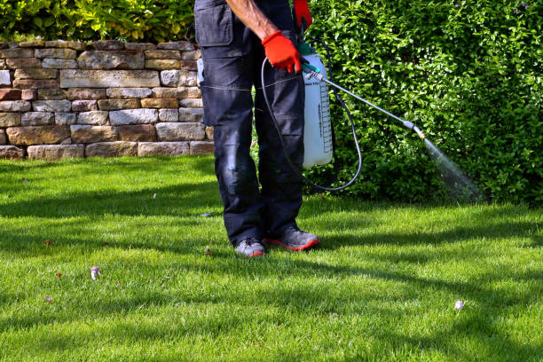 Best Pest Control for Multi-Family Homes  in Ringwood, NJ